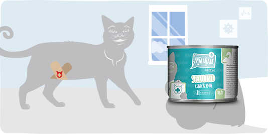 Katze Wellness Bild 2