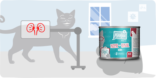 Katze Wellness Bild 3