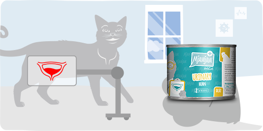 Katze Wellness Bild 4
