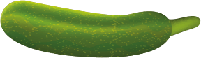 zucchini