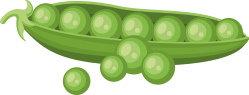 erbsen