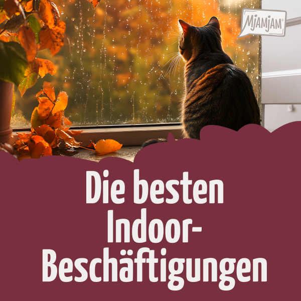 1110_Die-besten-Indoor-Besch-ftigungen