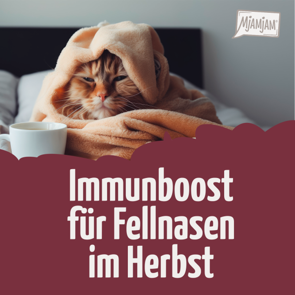 0810_Immunboost-f-r-Fellnasen