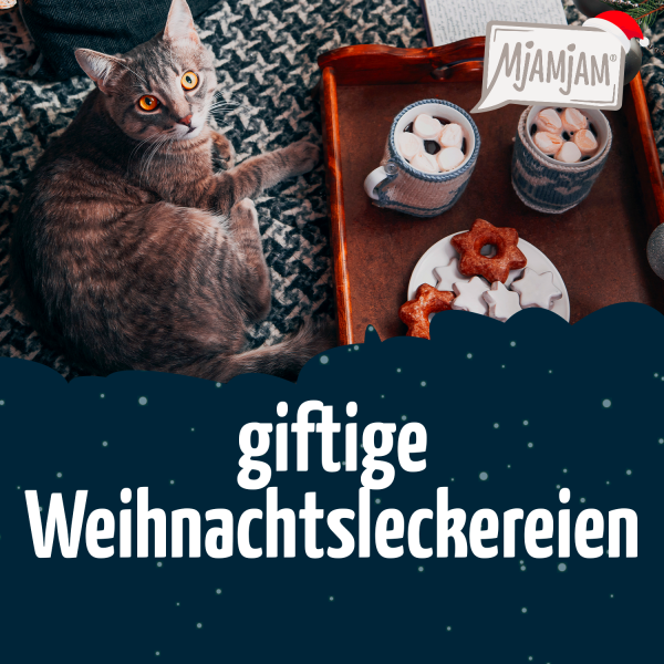 1216_giftige-Weihnachtsleckereien