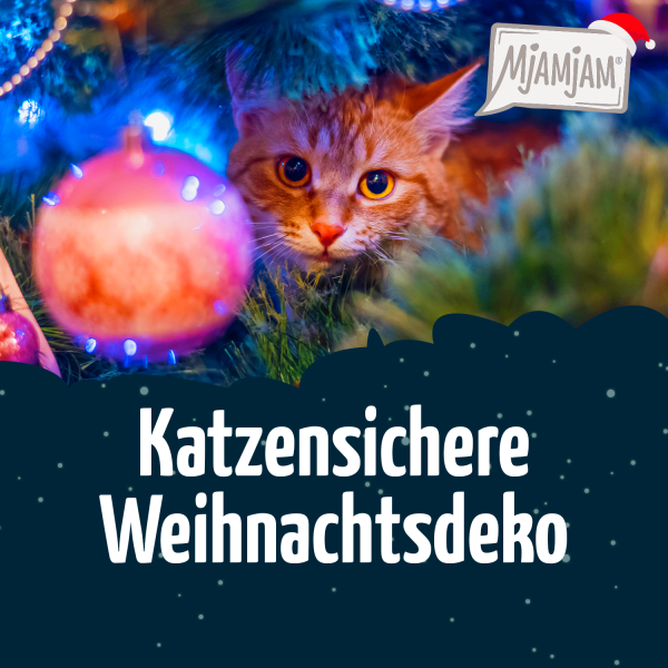 1207_Katzensichere-Weihnachtsdeko